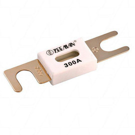 Victron ANL-fuse 300A/80V for 48V products (1 pc)
