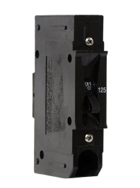 Schneider DC Breaker | 125A 125VDC