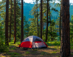 Camping & Outdoors